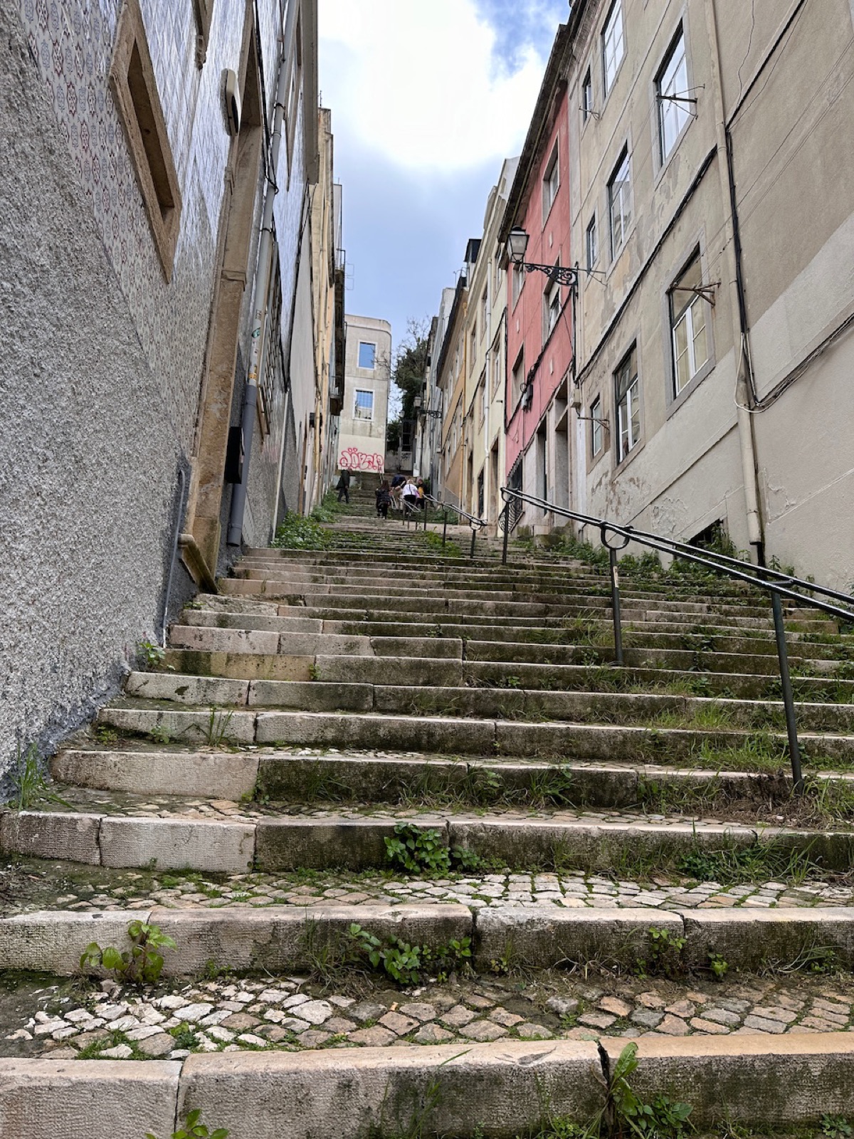 IMG_5627.jpeg