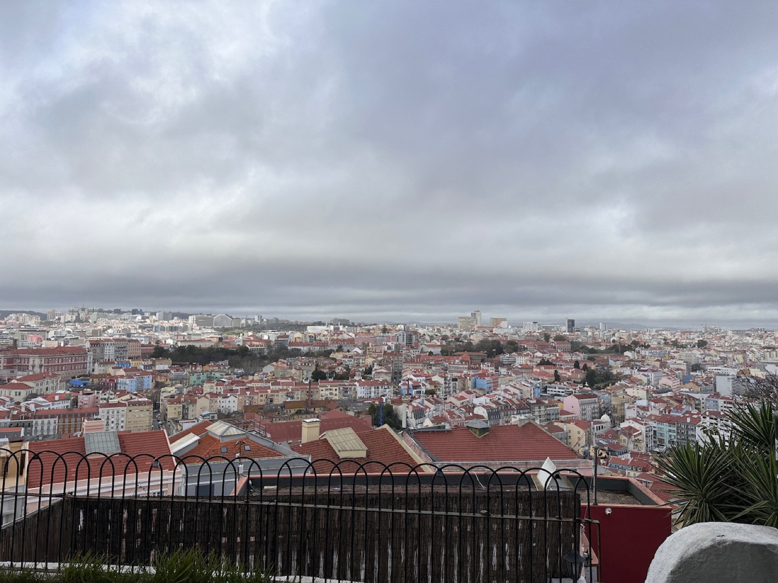IMG_5628.jpeg