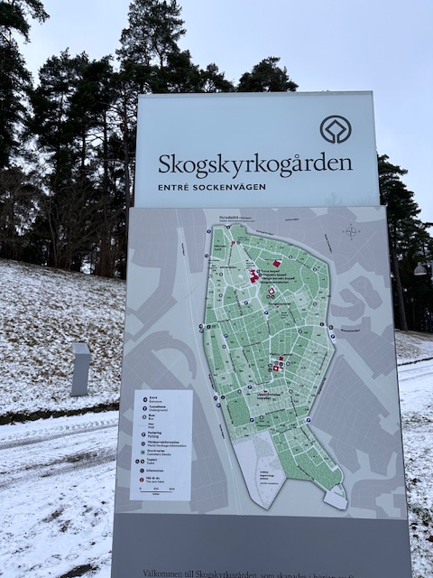 IMG_6304.jpeg