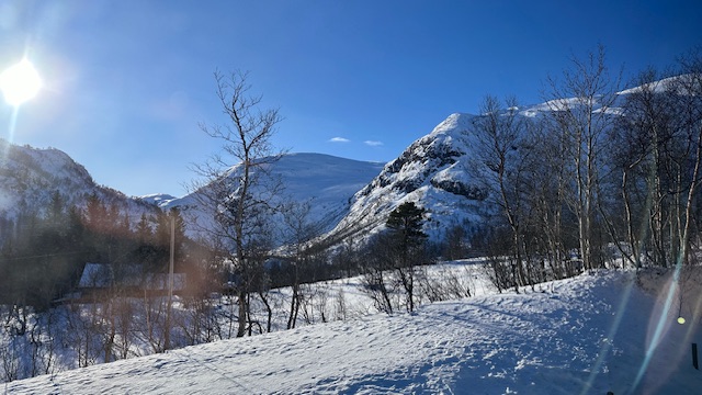 IMG_7488.jpeg